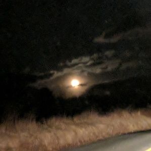 Meet your Posher, Paige